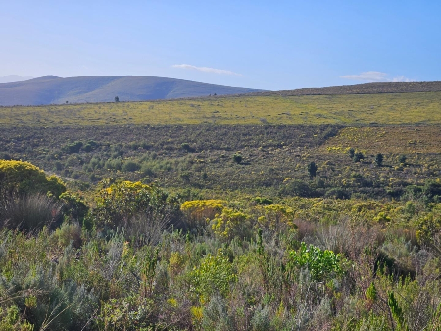 Commercial Property for Sale in Baardskeerdersbos Western Cape